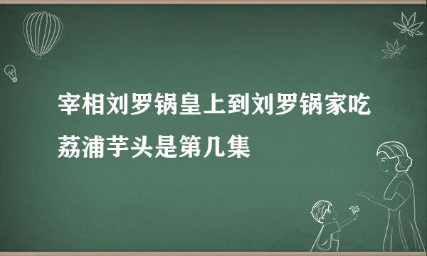 宰相刘罗锅皇上到刘罗锅家吃荔浦芋头是第几集