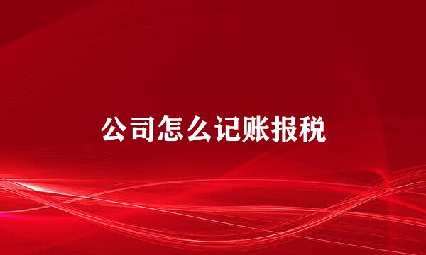 公司怎么记账报税