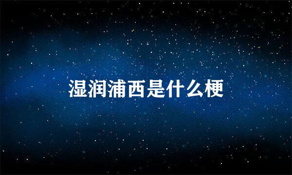 湿润浦西是什么梗