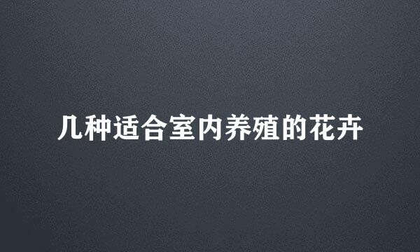 几种适合室内养殖的花卉