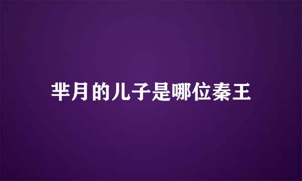 芈月的儿子是哪位秦王