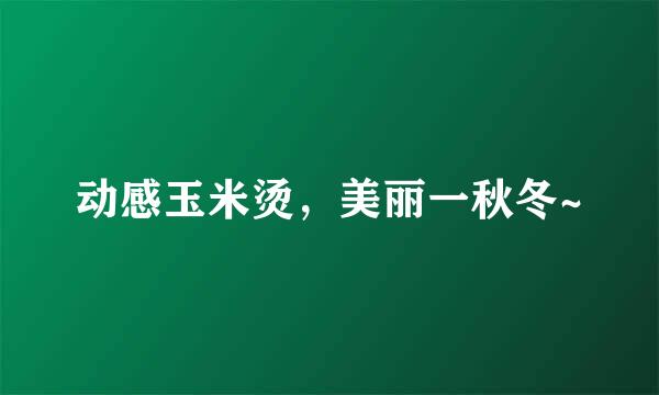 动感玉米烫，美丽一秋冬~