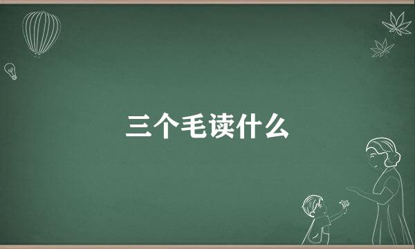 三个毛读什么