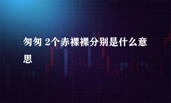 匆匆 2个赤裸裸分别是什么意思