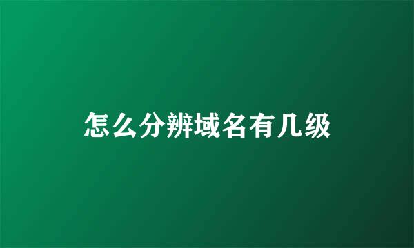 怎么分辨域名有几级