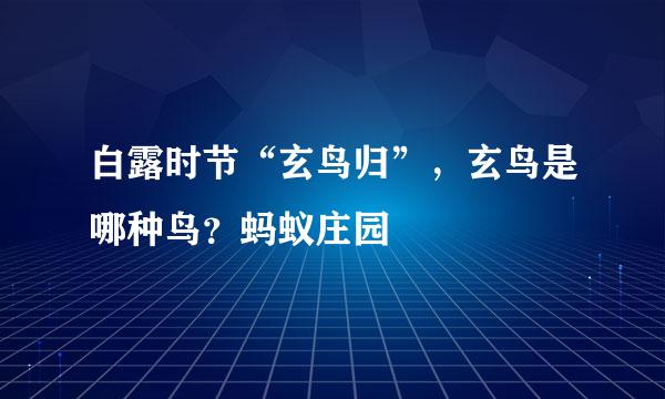 白露时节“玄鸟归”，玄鸟是哪种鸟？蚂蚁庄园