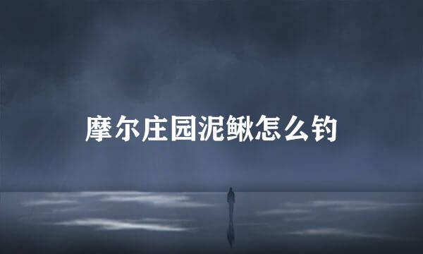 摩尔庄园泥鳅怎么钓