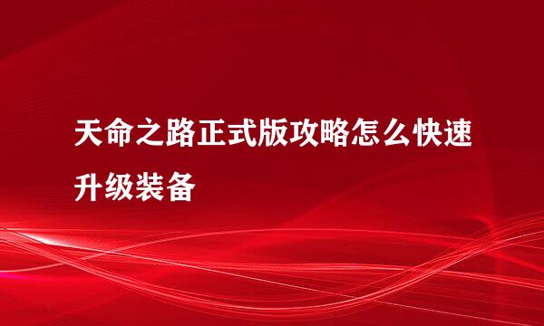 天命之路正式版攻略怎么快速升级装备