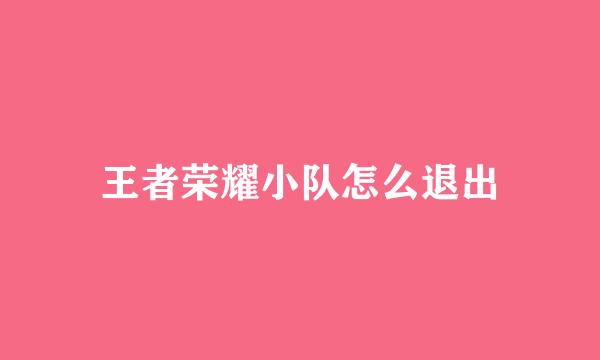 王者荣耀小队怎么退出