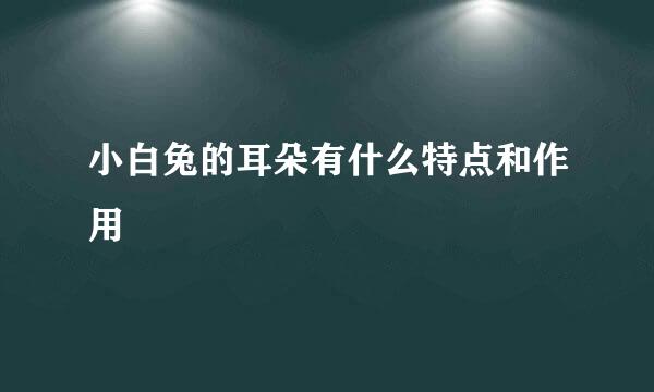 小白兔的耳朵有什么特点和作用