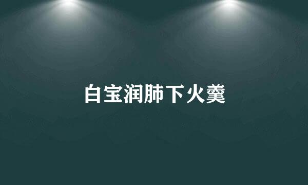 白宝润肺下火羹