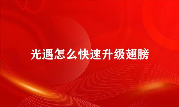 光遇怎么快速升级翅膀