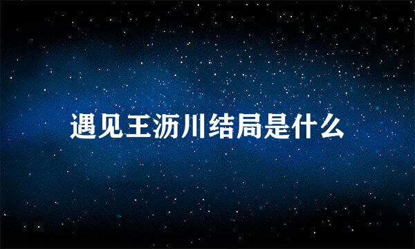 遇见王沥川结局是什么