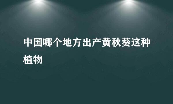 中国哪个地方出产黄秋葵这种植物