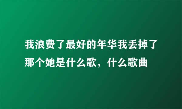 我浪费了最好的年华我丢掉了那个她是什么歌，什么歌曲