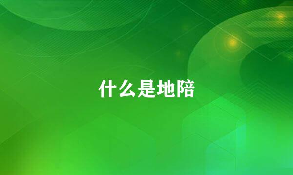 什么是地陪