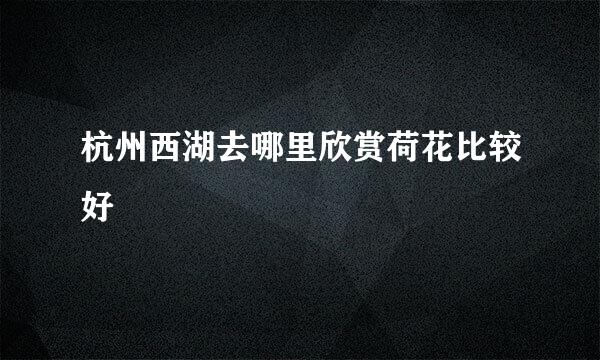 杭州西湖去哪里欣赏荷花比较好
