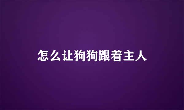 怎么让狗狗跟着主人
