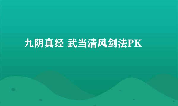 九阴真经 武当清风剑法PK