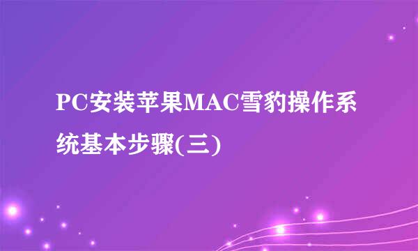 PC安装苹果MAC雪豹操作系统基本步骤(三)