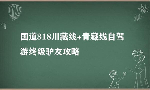 国道318川藏线+青藏线自驾游终级驴友攻略