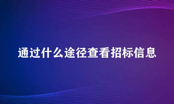 通过什么途径查看招标信息