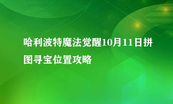 哈利波特魔法觉醒10月11日拼图寻宝位置攻略