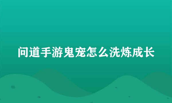 问道手游鬼宠怎么洗炼成长