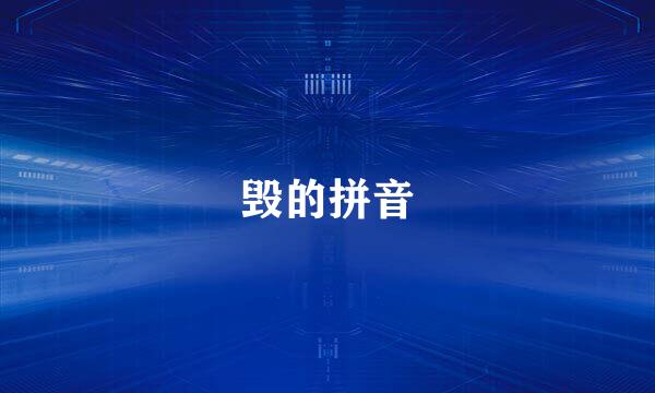 毁的拼音