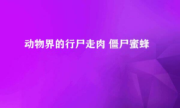动物界的行尸走肉 僵尸蜜蜂