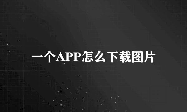 一个APP怎么下载图片