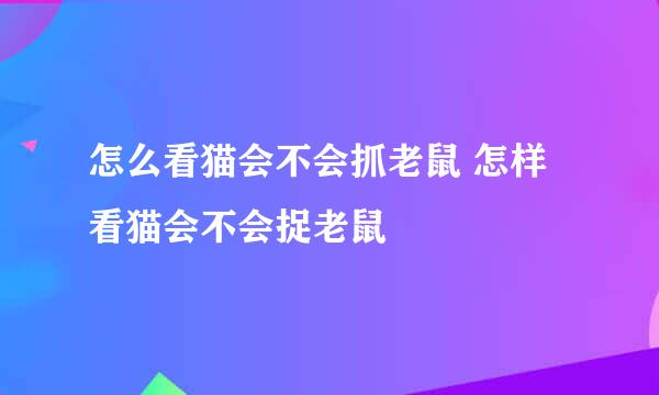 怎么看猫会不会抓老鼠 怎样看猫会不会捉老鼠