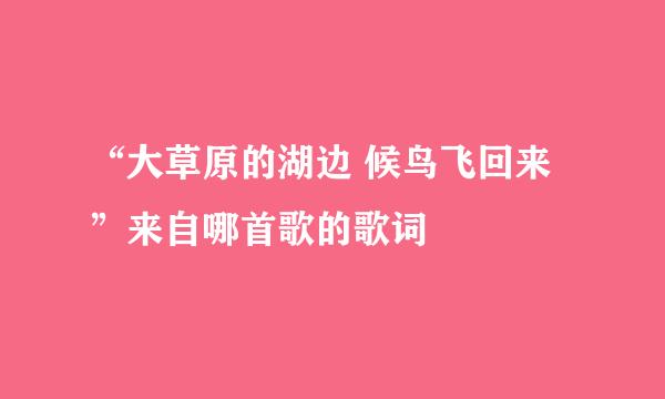 “大草原的湖边 候鸟飞回来”来自哪首歌的歌词