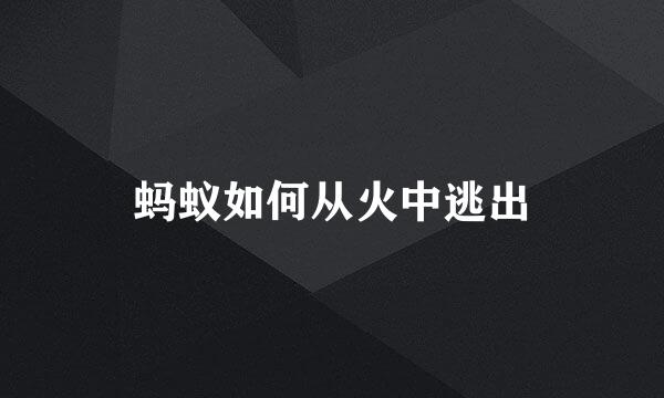 蚂蚁如何从火中逃出