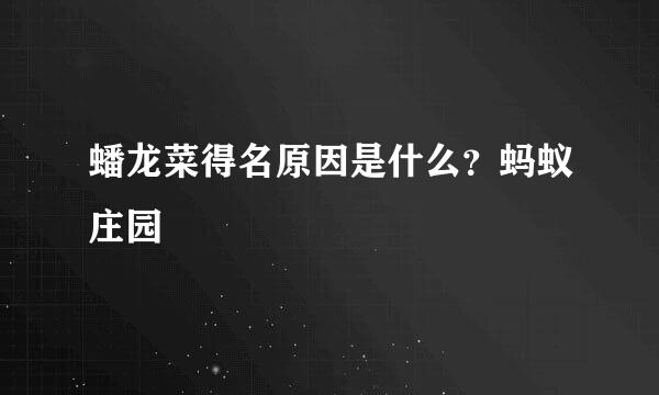 蟠龙菜得名原因是什么？蚂蚁庄园