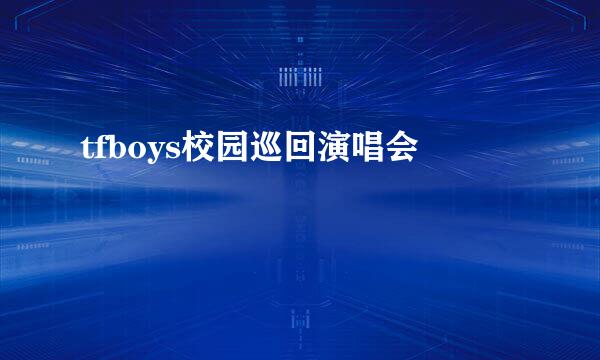 tfboys校园巡回演唱会