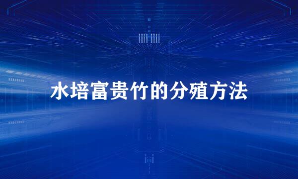 水培富贵竹的分殖方法
