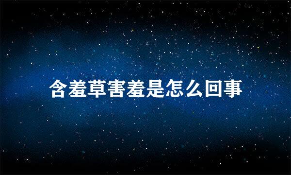 含羞草害羞是怎么回事