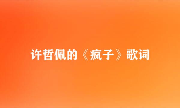 许哲佩的《疯子》歌词