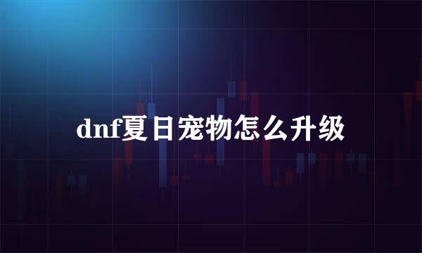 dnf夏日宠物怎么升级