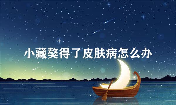 小藏獒得了皮肤病怎么办