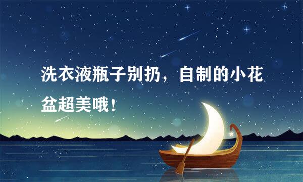 洗衣液瓶子别扔，自制的小花盆超美哦！