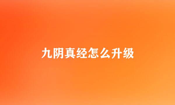 九阴真经怎么升级
