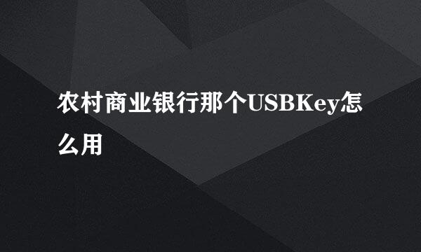 农村商业银行那个USBKey怎么用