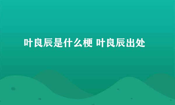 叶良辰是什么梗 叶良辰出处