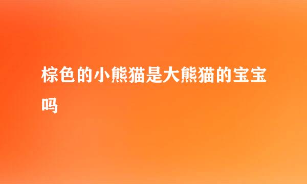 棕色的小熊猫是大熊猫的宝宝吗