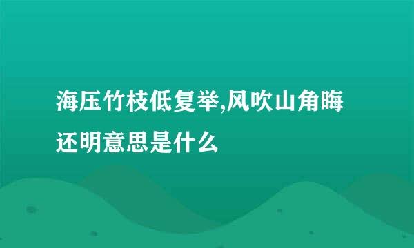 海压竹枝低复举,风吹山角晦还明意思是什么
