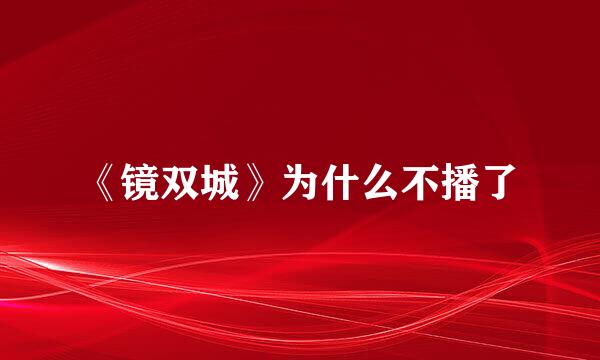 《镜双城》为什么不播了