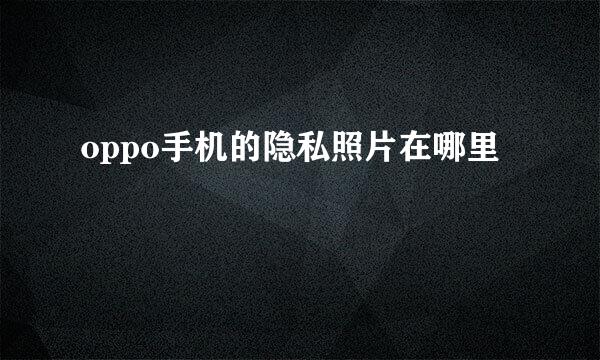 oppo手机的隐私照片在哪里