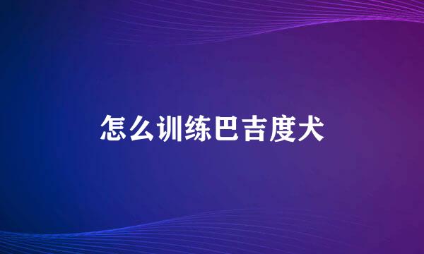 怎么训练巴吉度犬